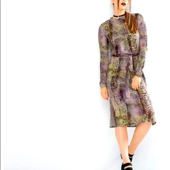 ASOS animal snake print midi dress - Picture 1 of 6